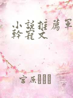 小说推荐军婚高干宠文