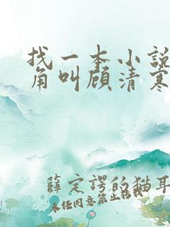 找一本小说女主角叫顾清寒