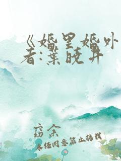 《婚里婚外》作者:叶晓井