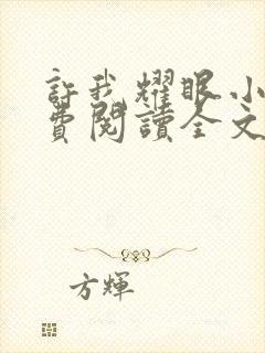 许我耀眼小说免费阅读全文最新章节