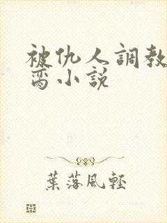 被仇人调教成禁脔小说