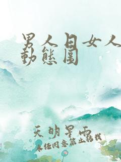 男人日女人bb动态图