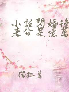 小说闪婚后发现老公是亿万富豪大结局