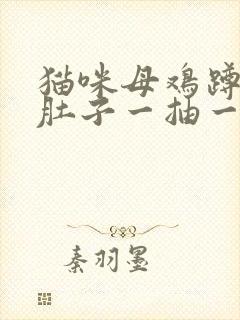 猫咪母鸡蹲喘气肚子一抽一抽的