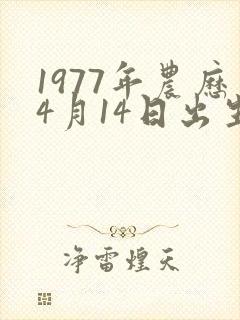 1977年农历4月14日出生的财运如何
