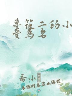 梦筱二的小说以爱为名