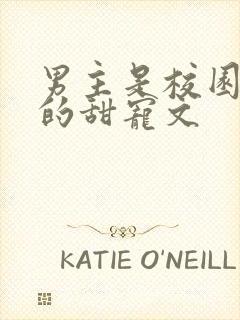 男主是校园大佬的甜宠文