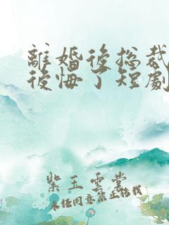 离婚后总裁老婆后悔了短剧免费观看结局