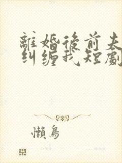 离婚后前夫总想纠缠我短剧演员表