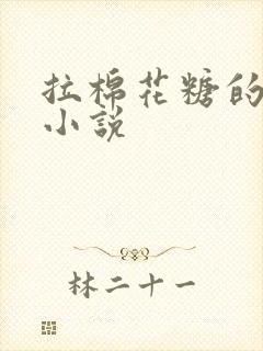 拉棉花糖的兔子小说