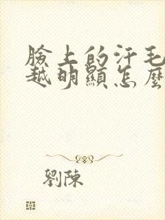 脸上的汗毛越来越明显怎么回事