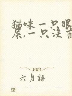 猫咪一只眼有眼屎,一只没有