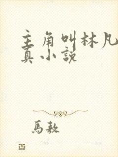 主角叫林凡的修真小说