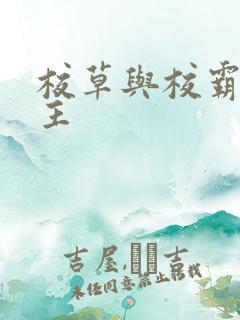 校草与校霸双男主