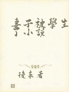 妻子被学生夺走了小说