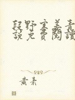 段野寒姜青栀小说免费阅读最新章节