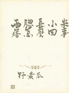 两腮长小米粒疙瘩怎么回事