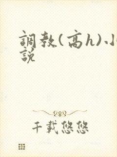 调教(高h)小说
