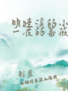 明晓溪的小说第一夜的蔷薇