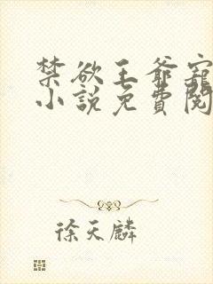 禁欲王爷宠上瘾小说免费阅读