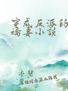 穿成反派的病弱娇妻小说