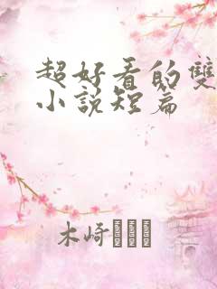 超好看的双男主小说短篇