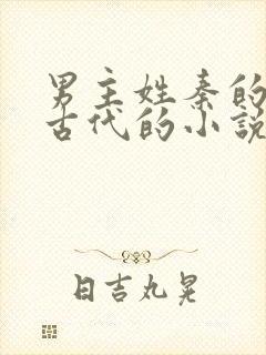 男主姓秦的穿越古代的小说