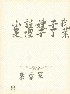 小说嫂子我真不是傻子了叶凡全本免费下载