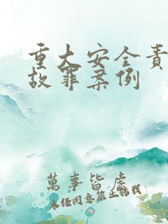 重大安全责任事故罪案例