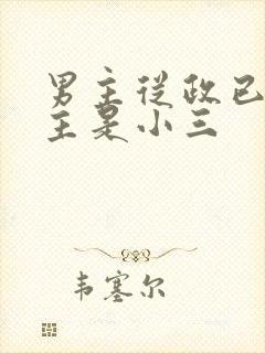 男主从政已婚女主是小三