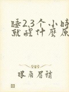 睡2.3个小时就醒什么原因