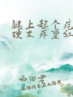 腿上起个疙瘩又硬又疼变红色