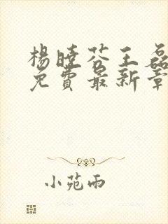 杨晓芬王磊小说免费最新章节更新时间