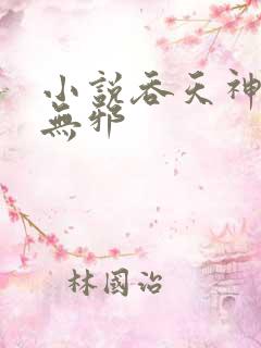 小说吞天神鼎柳无邪