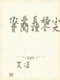 假爱真婚小说免费阅读全文