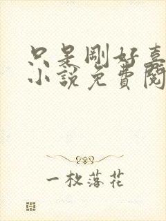 只是刚好喜欢你小说免费阅读全文