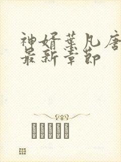 神婿叶凡唐若雪最新章节