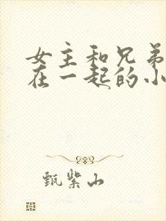 女主和兄弟两人在一起的小说