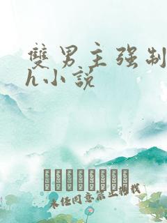 双男主强制爱高h小说