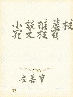 小说推荐校园甜宠文校霸