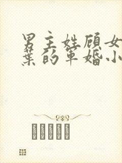 男主姓顾女主姓叶的军婚小说