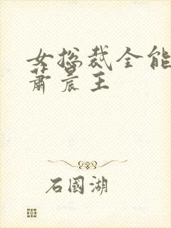 女总裁全能兵王萧晨主