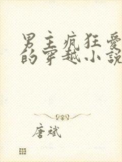 男主疯狂爱女主的穿越小说