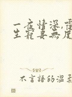 一夜情深,霍先生宠妻无度全本下载