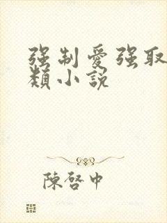 强制爱强取豪夺类小说