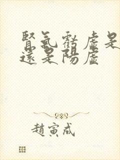 肾气亏虚是阴虚还是阳虚