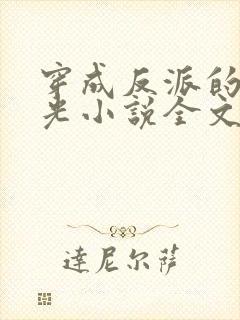 穿成反派的黑月光小说全文免费阅读