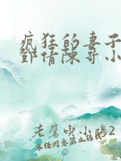 疯狂的妻子林瑶邓倩陈哥小说