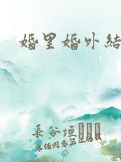 婚里婚外结局