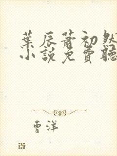 叶辰萧初然有声小说免费听